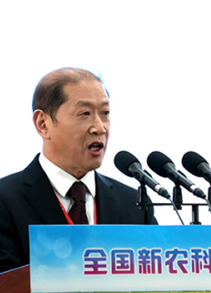 介晓磊